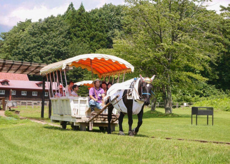 ▲The sound of the wheel and horse hooves gives a relaxing and nostalgic feeling