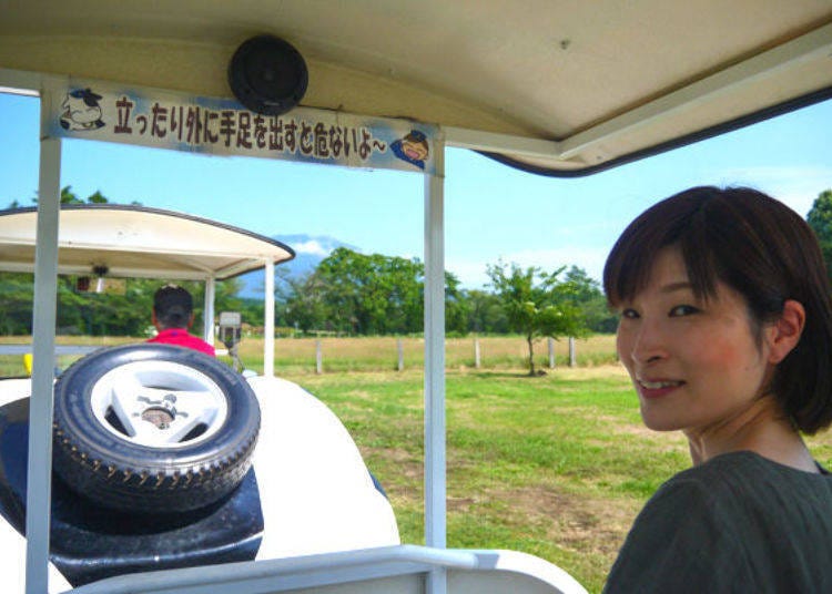 ▲Moseys through the park. The wind blowing down from Mount Iwate feels good