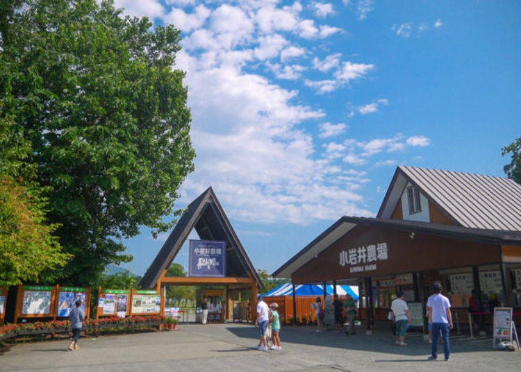 ▲ฟาร์มเอกชนที่ก่อตั้งในสมัยเมจิ ฉลองครบรอบ 125 ปีในปี 2559