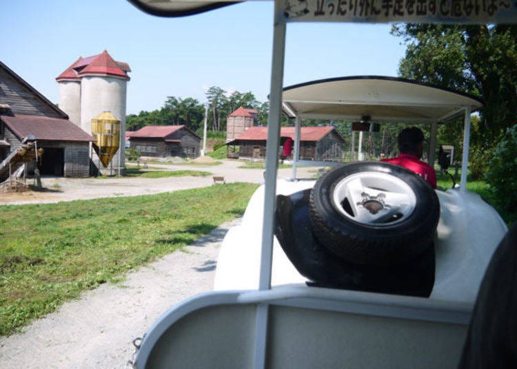 ▲เริ่มได้กลิ่นวัวตั้งแต่ตรงนี้แล้ว