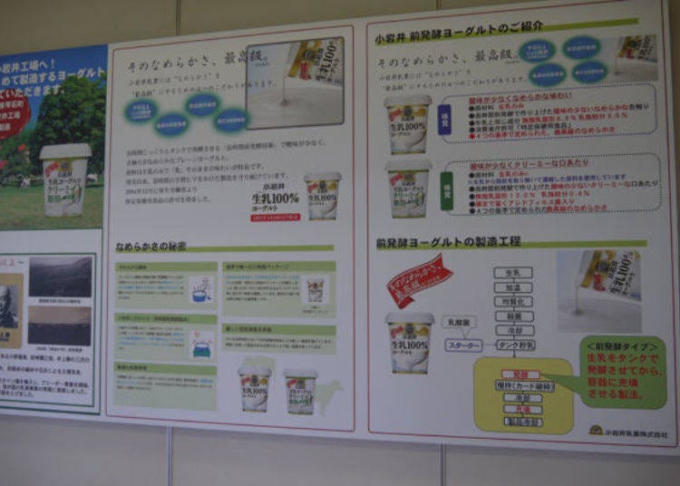 ▲用看板介绍酸奶的生产过程