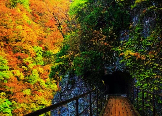 Dakigaeri Gorge: Walk Along Pristine Aqua Blue Streams and Vibrant Fall Colors in Akita Japan