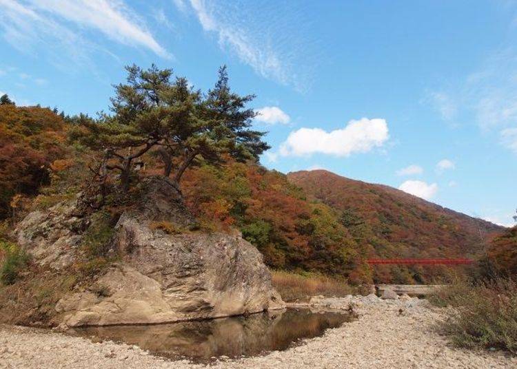 ▲The shrine maiden was so grateful that through the power of worship she turned into the large rock, Miko Ishi