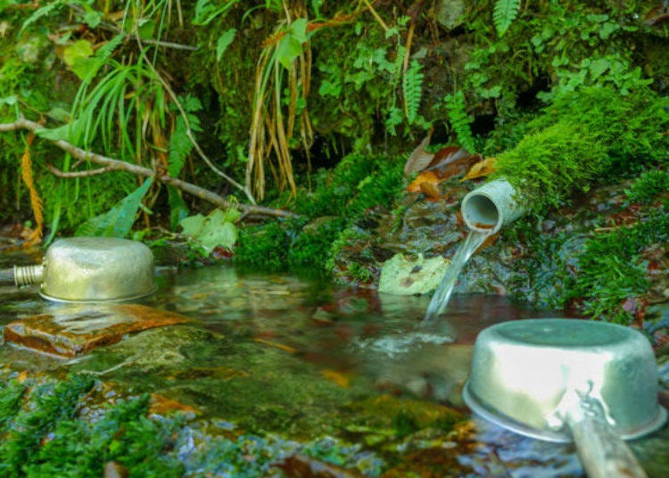 ▲The moss covered spring water is cold and refreshing