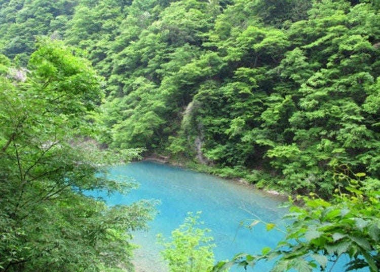 ▲The beautiful contrast of the green forest and cobalt blue stream (photo provided by Tazawako - Kakunodate Kanko Kyokai)