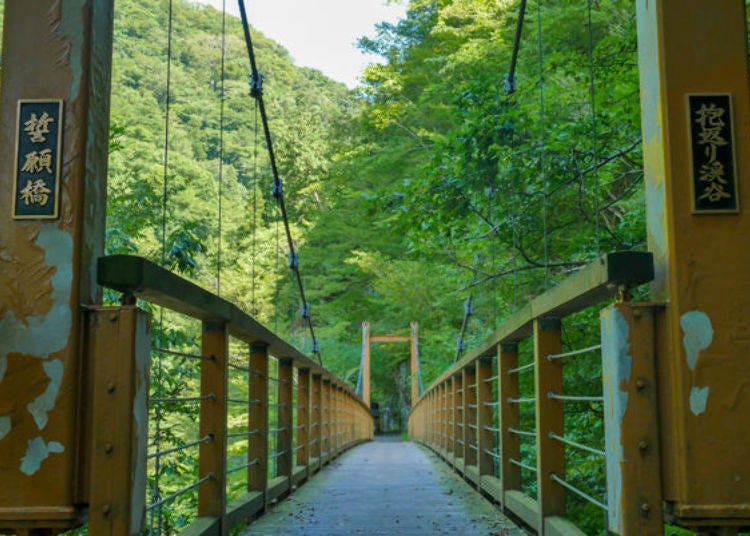 Mystical View of Dakigaeri Gorge From Seiganji