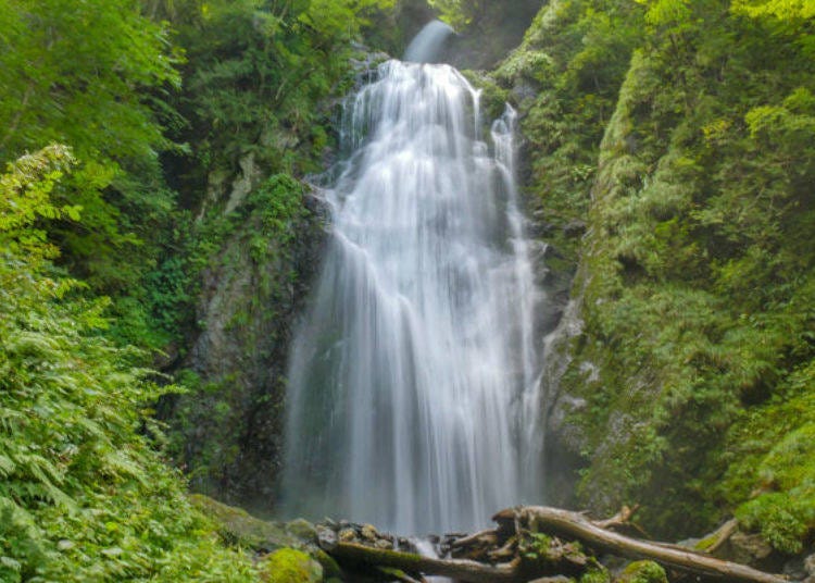 ▲The white waterfall stands out beautifully with the green background.