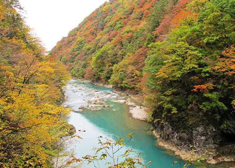 ▲화려한 단풍과 계곡 물소리에 힐링된다(사진 제공: 다자와코, 가쿠노다테 관광협회).