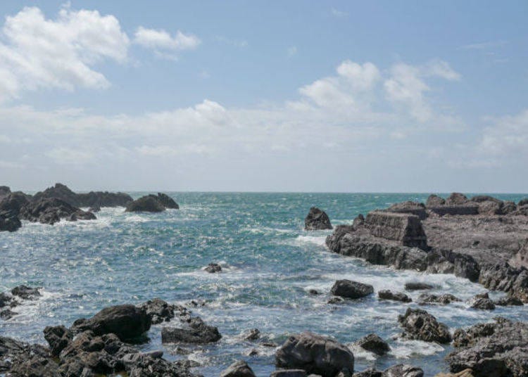 ▲View of Sea of Japan from the aquarium entrance