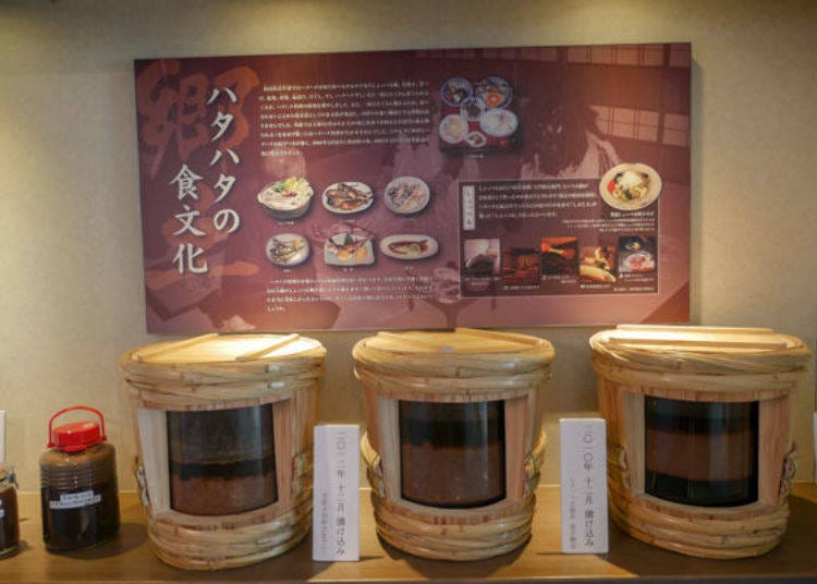 ▲They introduce various food culture such as the Akita’s local cuisine Shottsuru Nabe