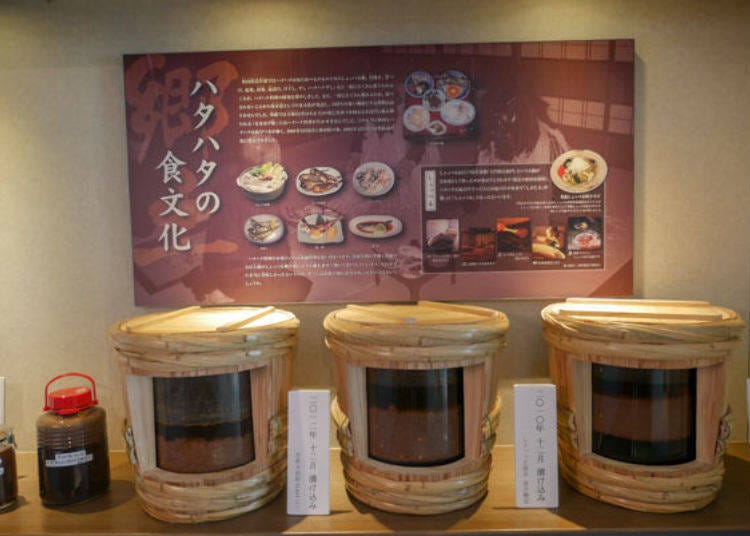 ▲秋田乡土料理「盐鱼汁锅（しょっつる鍋）」等当地饮食
