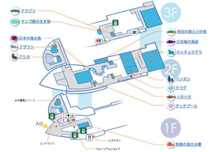 北極熊 哥吉拉 秋田 男鹿水族館gao 玩樂祕技大公開 live japan 日本旅遊 文化體驗導覽
