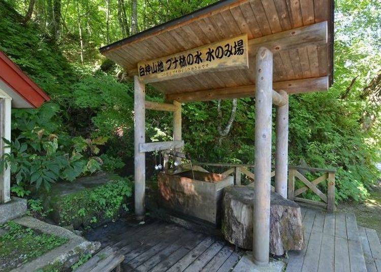 ▲Spring water area near the trekking course entrance