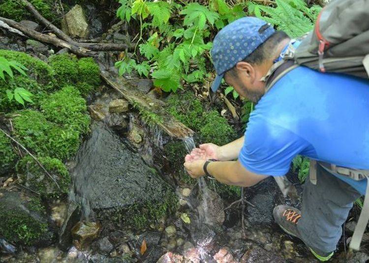 ▲They determine if you can drink out of the stream or not is by looking at the moss around it