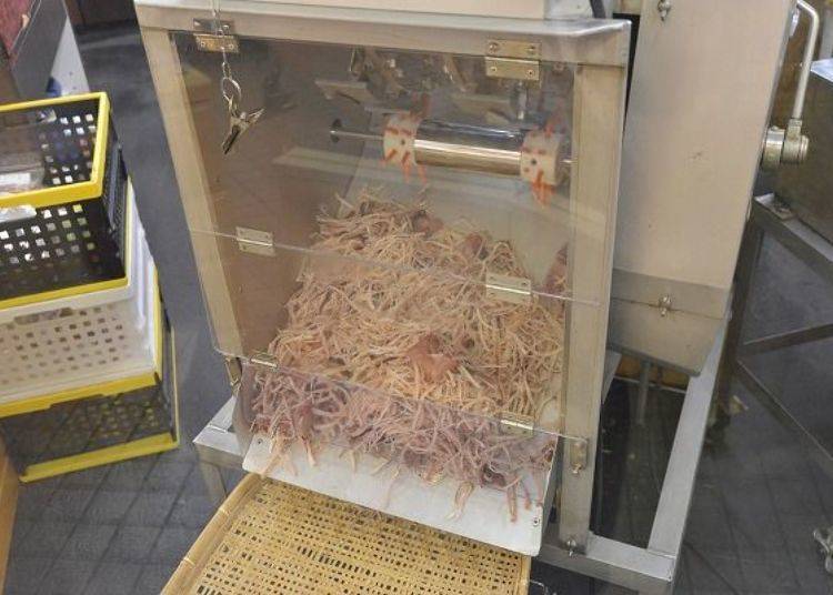 ▲在「Sakiya」可看到新鲜鱿鱼丝从机器里不断掉出来，香气逼人！