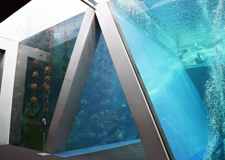 Let’s walk under the sea! Shiome-no-Umi: A huge water tank