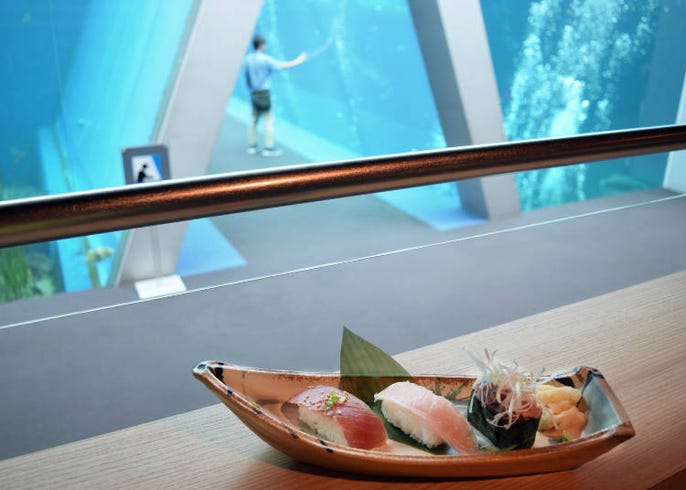 東北最大級の水族館 アクアマリンふくしま の楽しみ方 Live Japan 日本の旅行 観光 体験ガイド