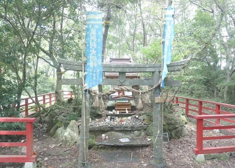 「貓神社」感受貓與人的羈絆