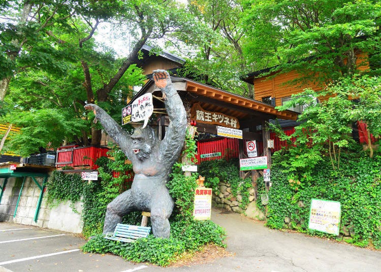 Cara Menuju Desa Rubah Zao dari Tokyo dan Sendai (Kereta, Bus, dan Mobil)