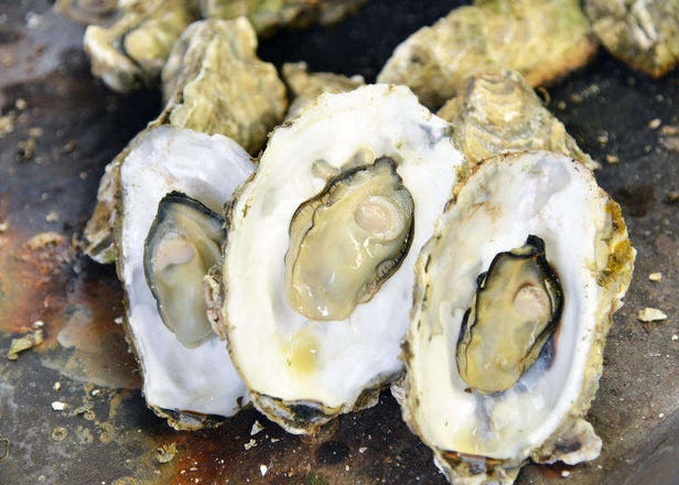 One Taste of These Miyagi Oysters and You Won't Want to Eat Seafood Anywhere Else! (Best Oct-Mar)