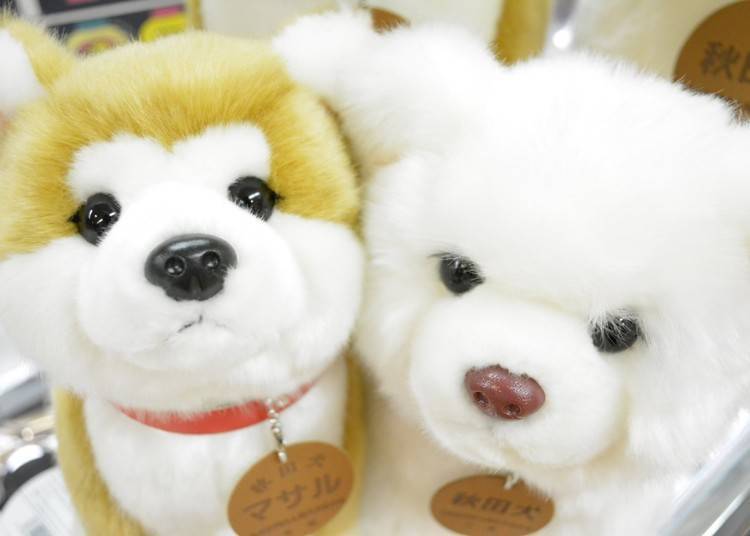 3. Masaru Akita-inu plush toy: a warm and friendly face that melts your soul