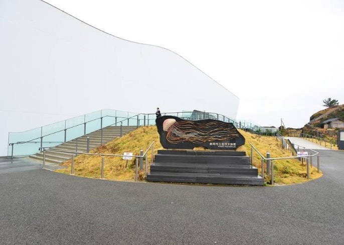 クラゲの種類が世界一 山形 加茂水族館 の見どころを徹底紹介 Live Japan 日本の旅行 観光 体験ガイド