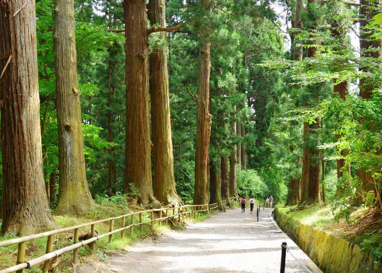 走訪日本的世界遺產～平泉黃金文化、淨土庭園
