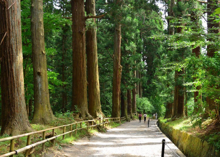 1. Chuson-ji: The gorgeous temple known throughout Japan