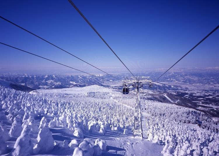 See the Zao Snow Monsters from Above on the Zao Ropeway (Time Required: About 1 Hour)