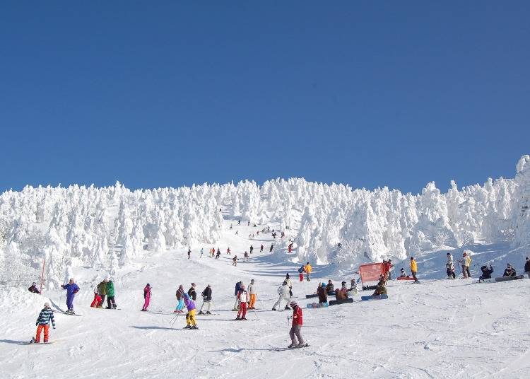 ＜1日目＞日本最大級のスキー場「蔵王温泉スキー場」（所要時間：約4時間）