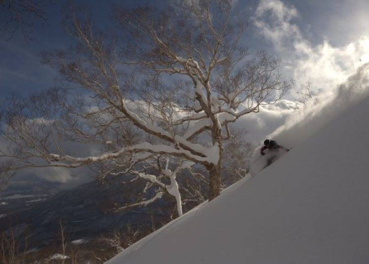 ２：新雪のクオリティが違う！ 新潟で一番標高の高い妙高杉ノ原スキー場［新潟県］