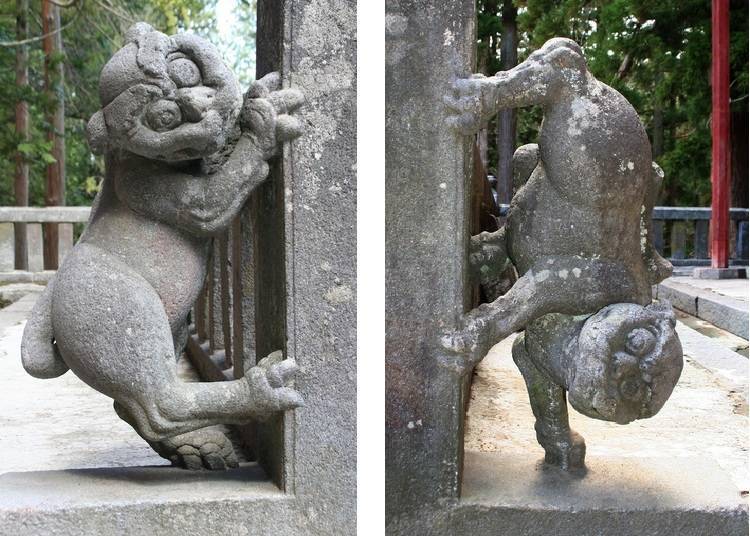 ▲  Upward facing Komainu (shrine guarding “lion-dog”) and Downward facing Komainu (Photo courtesy of Iwakisan Tourist Association)