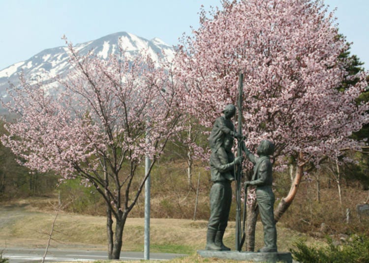 ▲‘이와키 산 종합공원 앞’ 버스정류장 부근에 있는 벚나무 식수 기념비와 이와키 산 (사진 제공: 이와키산관광협회)