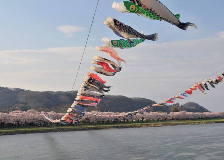 ▲ Carp streamers fluttering in the wind