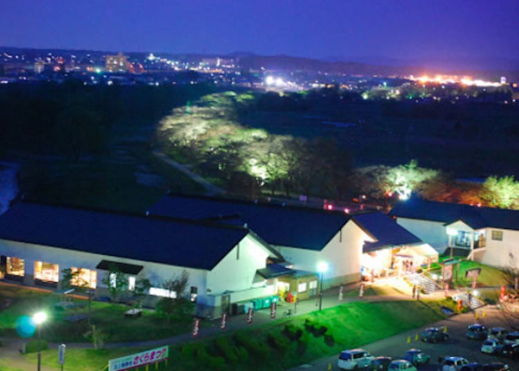 ▲ The trees and a rest houses bathed in light (Photo courtesy of the Tenshochi Rest House)