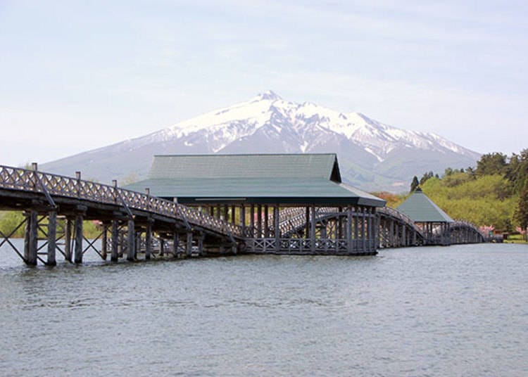 ▲Near the Iris Path, you can take photos of Tsuru-No-Mai Bridge with Iwaki-san mountain in the background.