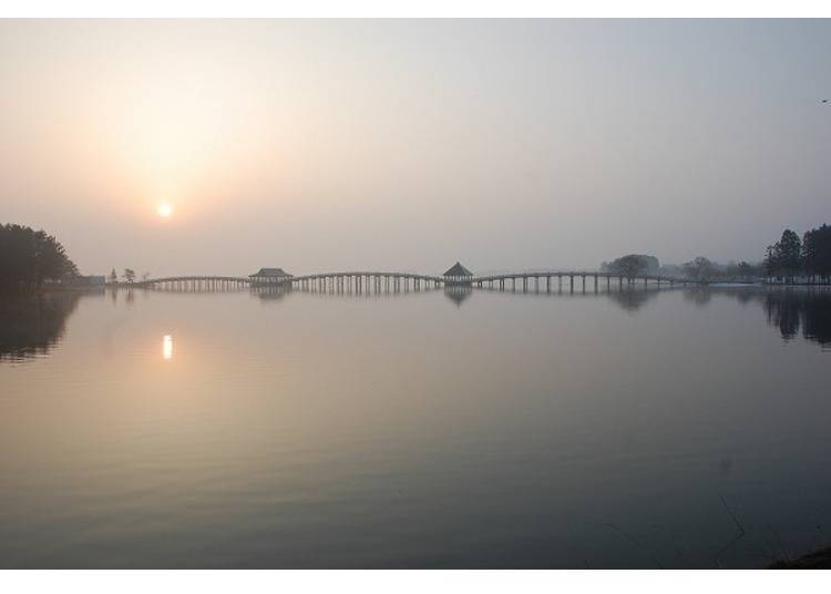 ▲將清晨的太陽作為背景所拍下的「鶴之舞橋」。橋的設計是以飛翔的鶴為概念。