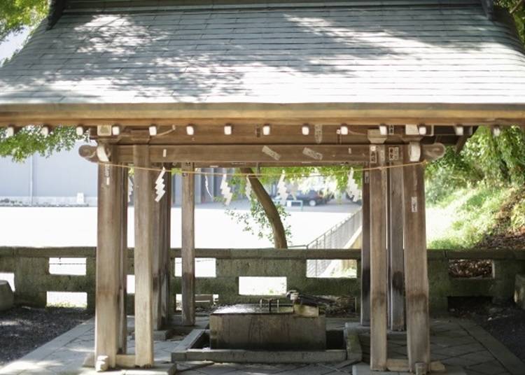 ▲Tucked away from the main path to the shrine, facing the large ginkgo tree, is a “Temizusha”, a fountain for cleansing your hands. Cleanse your soul, and enter the main shrine.