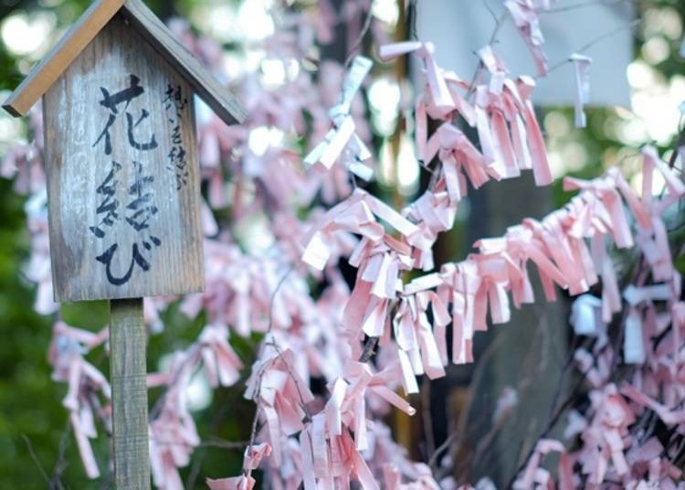 ▲Because of the legend of the proposal, various spots throughout the shrine became places for wishing for romance and relationships. (In the photo is the “Hana-musubi”, or “flower bonds”, next to the shrine office)