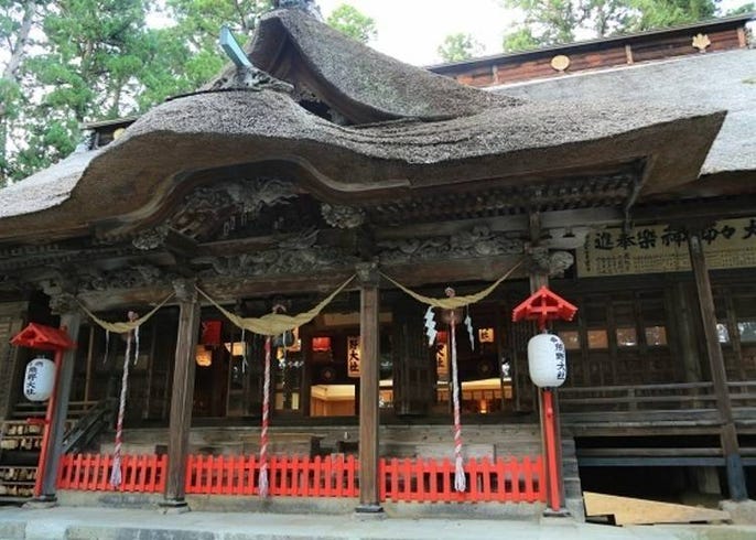 日本東北的結緣景點 熊野大社 尋找3隻御兔吧 Live Japan 日本旅遊 文化體驗導覽