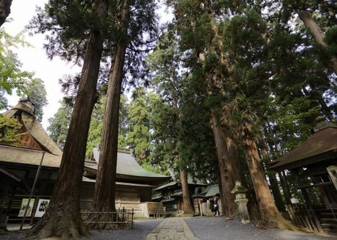 日本東北的結緣景點 熊野大社 尋找3隻御兔吧 Live Japan 日本旅遊 文化體驗導覽