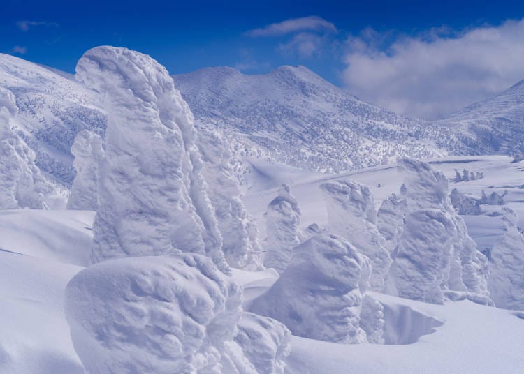 青森必玩⑦欣賞「Snow Monster」樹冰奇景