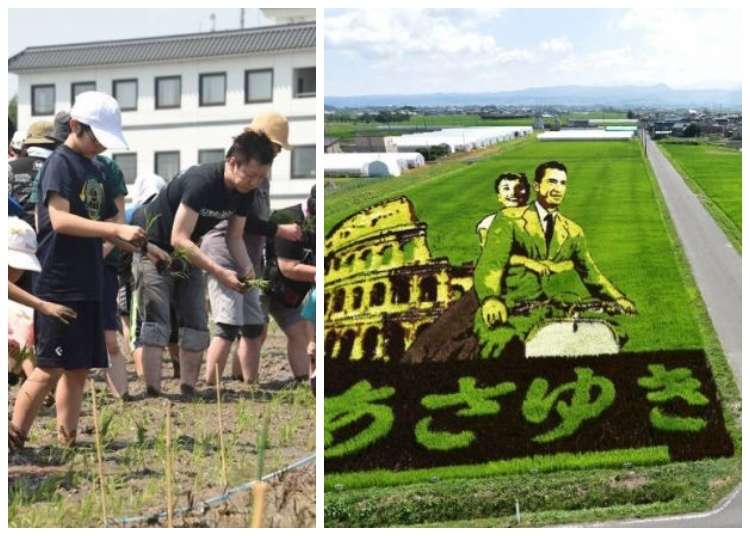 이것이 논밭!?경이로운 퀄리티, 아오모리 이나카다테무라의 논 아트