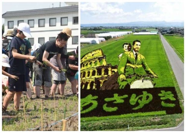 Inakadate Japan: This Rural Japanese Village Grows Epic Rice Field Art to Attract Tourists!