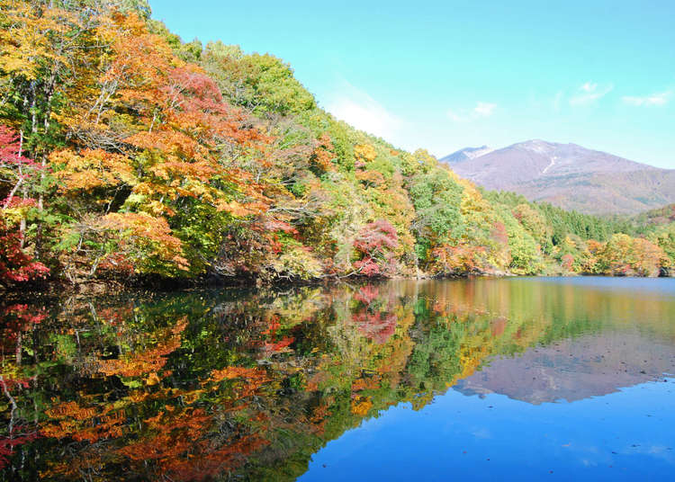 年 宮城県のおすすめ紅葉スポット 見頃10選 息をのむ絶景の数々 Live Japan 日本の旅行 観光 体験ガイド