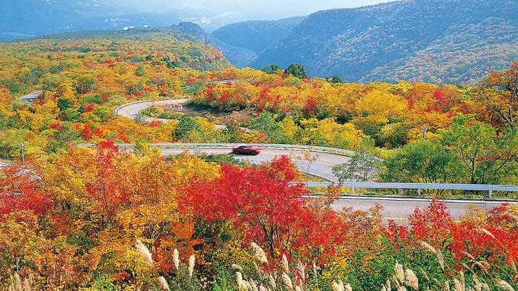 Top 10 Autumn Foliage Spots in Miyagi Prefecture: Enjoy Naruko Gorge, Akiu Falls & More Spectacular Scenery