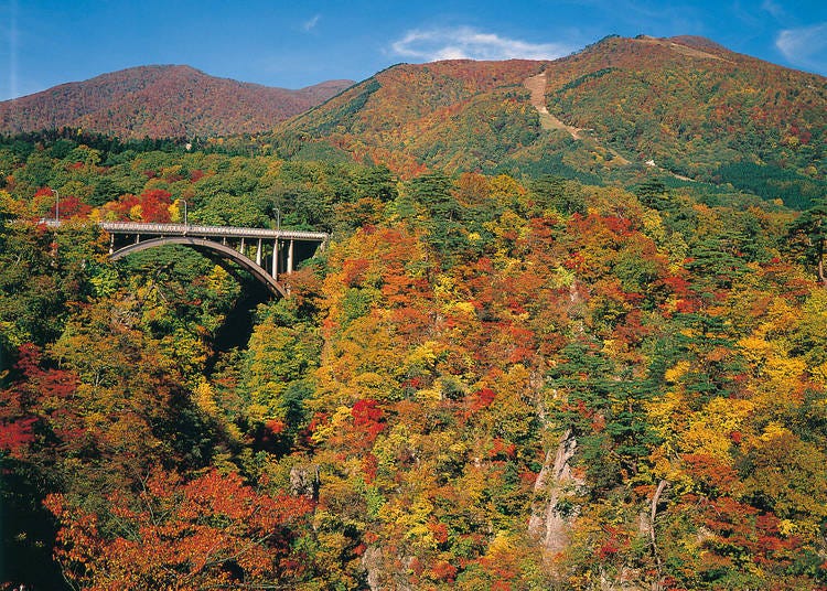 1. Naruko Gorge: A V-shaped canyon covered in red and yellow