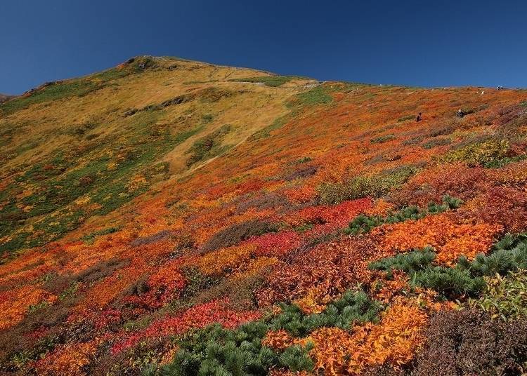 3. Mount Kurikoma: AKA The Carpet of God