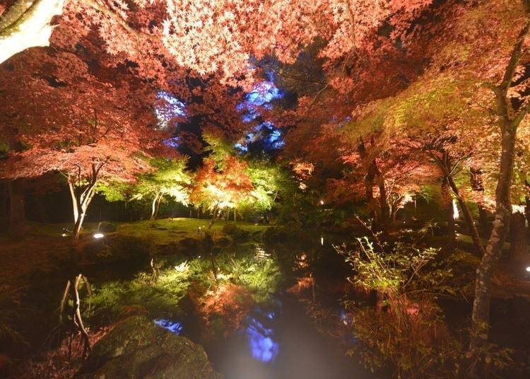 4. Tenshukaku Nature Park: Step into a fantasy world
