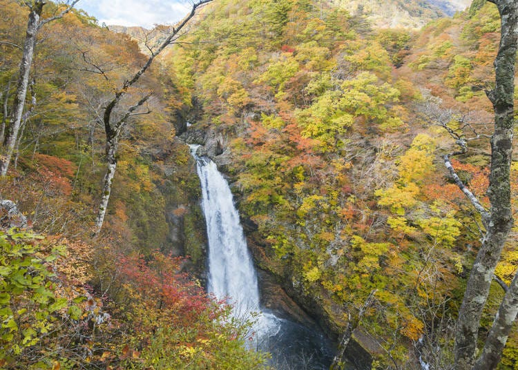 6. Akiu Great Falls: The beautiful marriage of autumn leaves and waterfalls in Miyagi